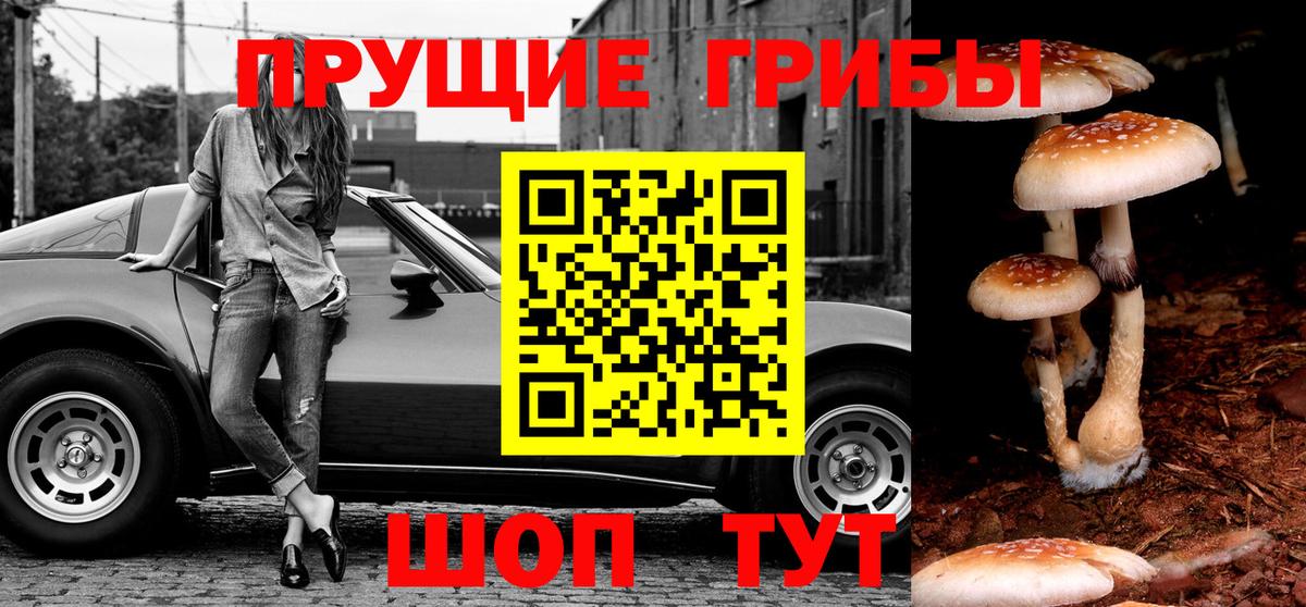 Кстово  Псилоцибиновые грибы мухоморы  Вход с VPN 