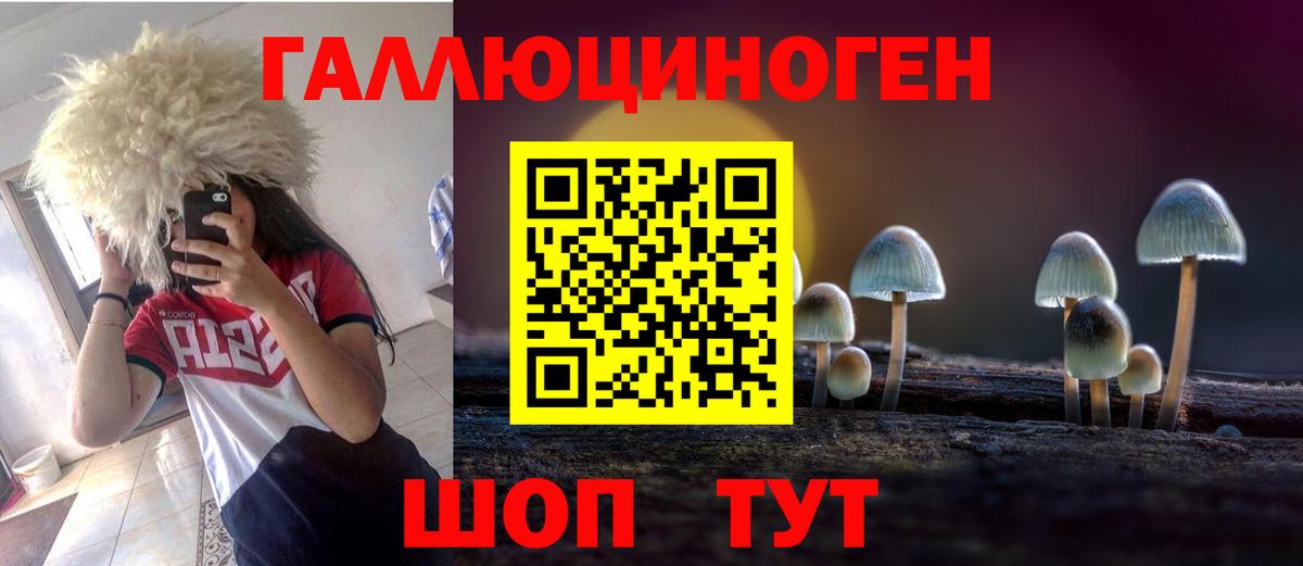 Псилоцибиновые грибы GOLDEN TEACHER Кстово